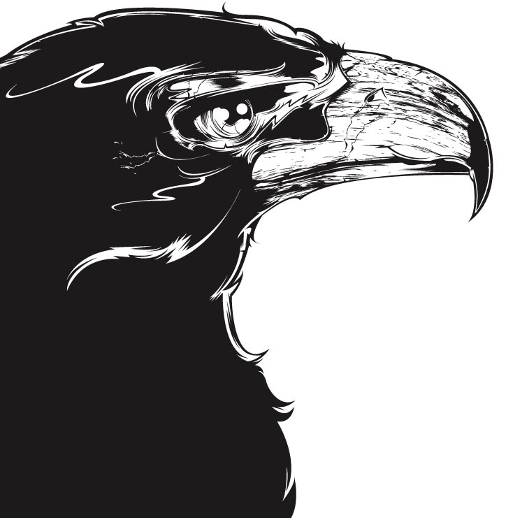 _hawk.jpg